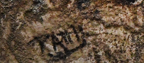 Textured Landscape - 3