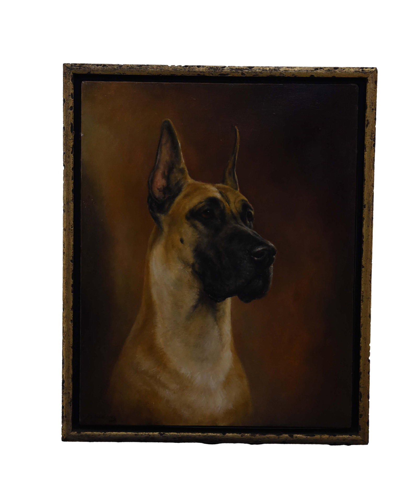 Regal Gaze: Oil On Canvas Portrait of a Great Dane" (1 of 1)