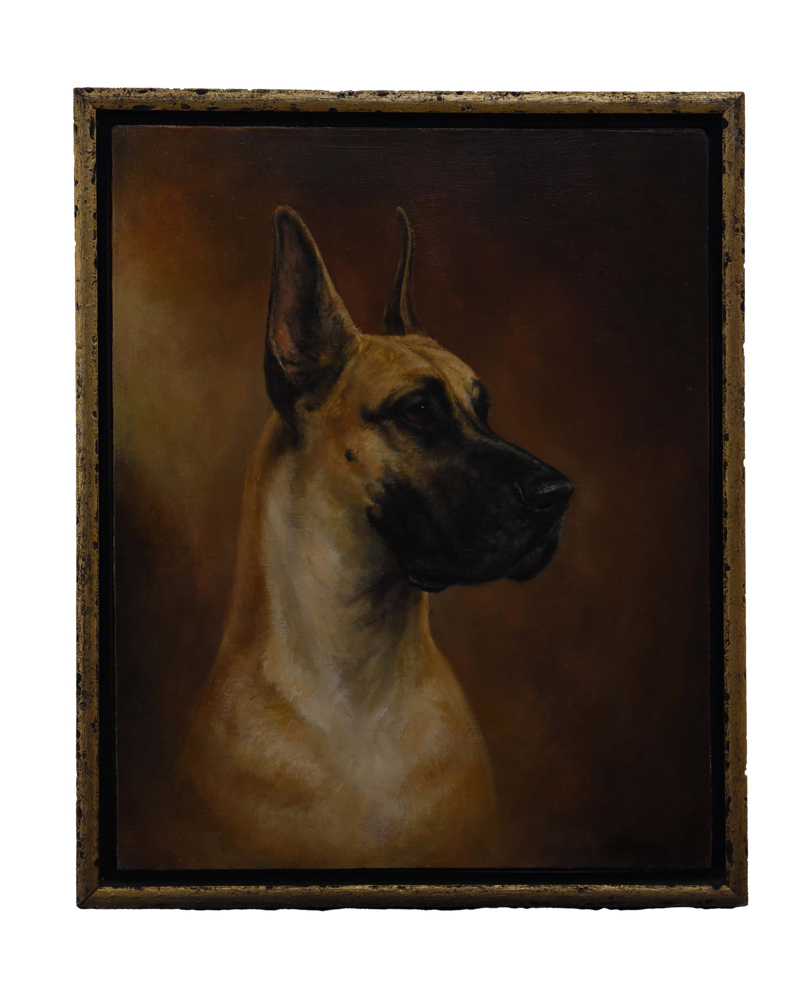 Noble Sentinel: Oil On Canvas Great Dane Portrait": This commanding oil on canvas painting, measuring 18" x 22", presents a striking portrait of a Great Dane. The artwork captures the head and upper body of the dog in a dignified profile, set against