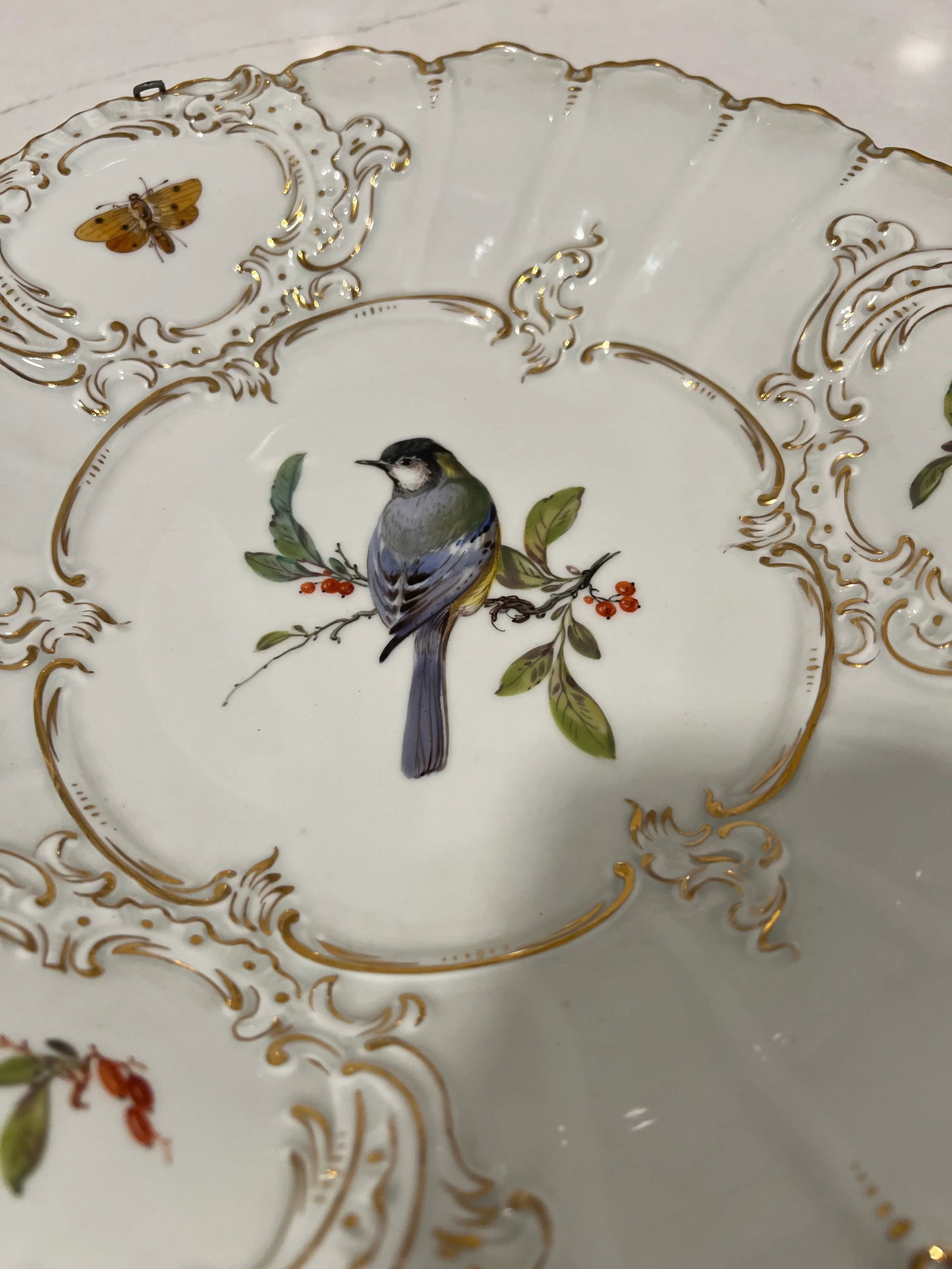 Pair, Antique Meissen Porcelain Ornithological & Gold Encrusted Chargers - 8