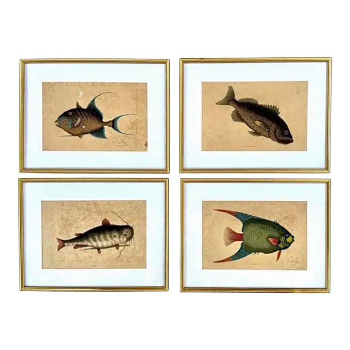 18th Century Framed Engravings by Mark Catesby, Set of Four Fish (1 of 11)