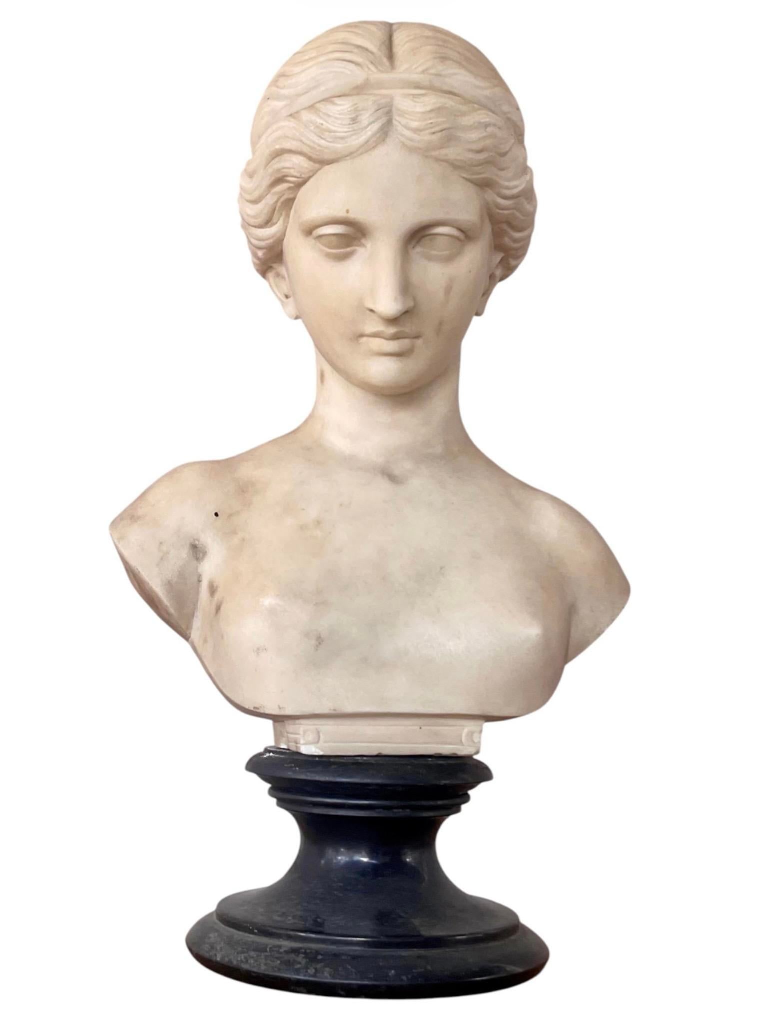 Italian Carved Marble Bust of a Young Woman - 10