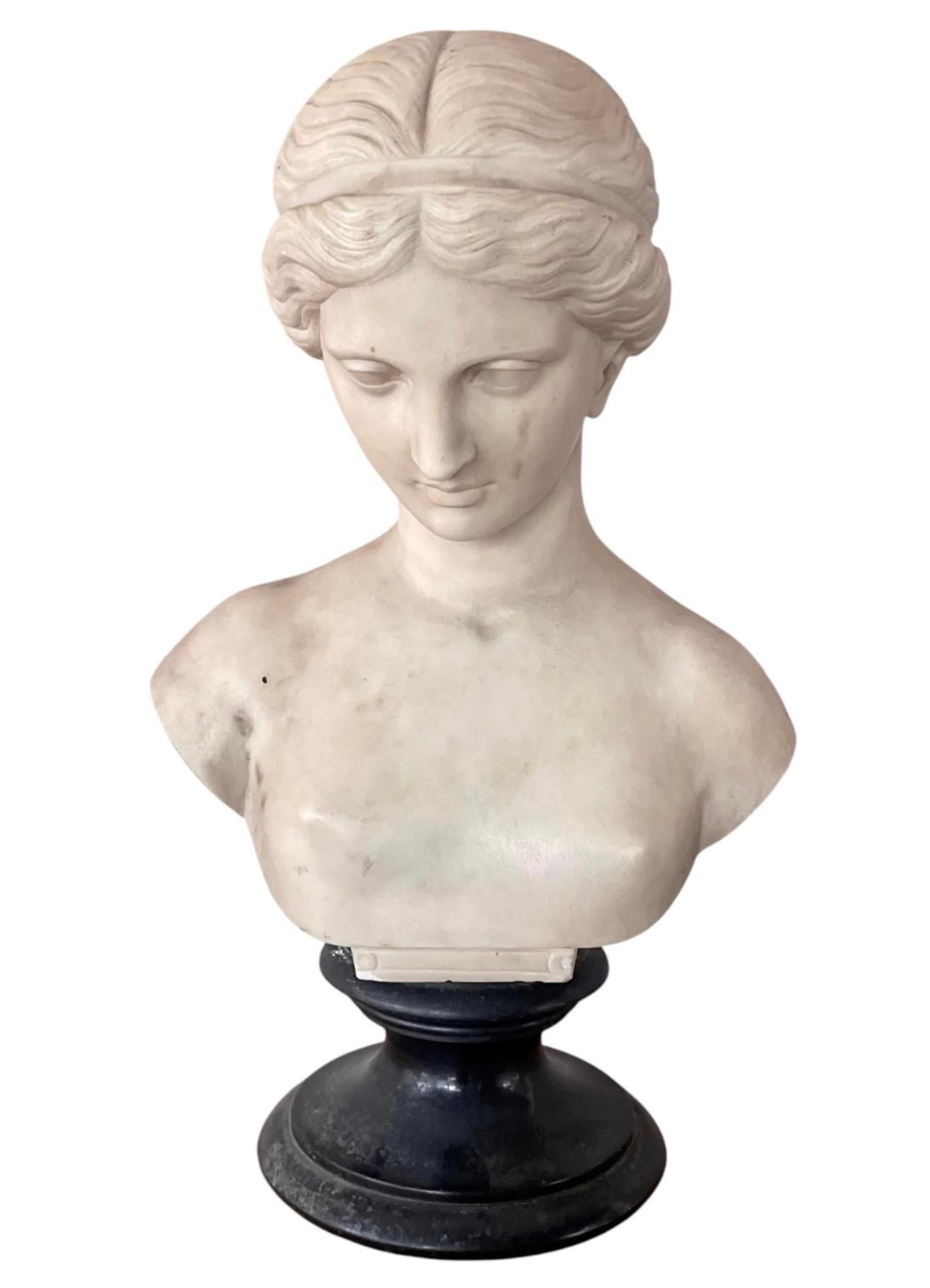Italian Carved Marble Bust of a Young Woman - 11