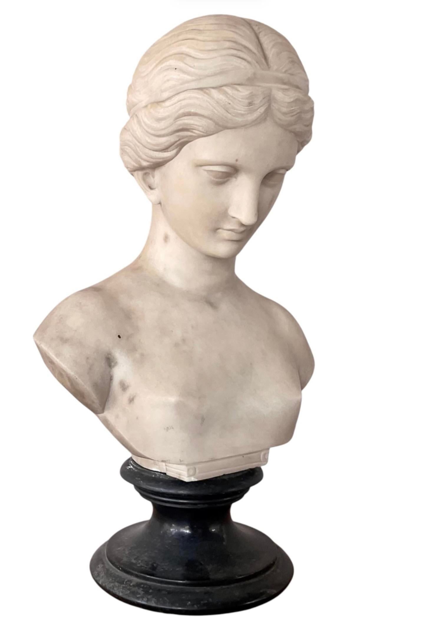 Italian Carved Marble Bust of a Young Woman - 12