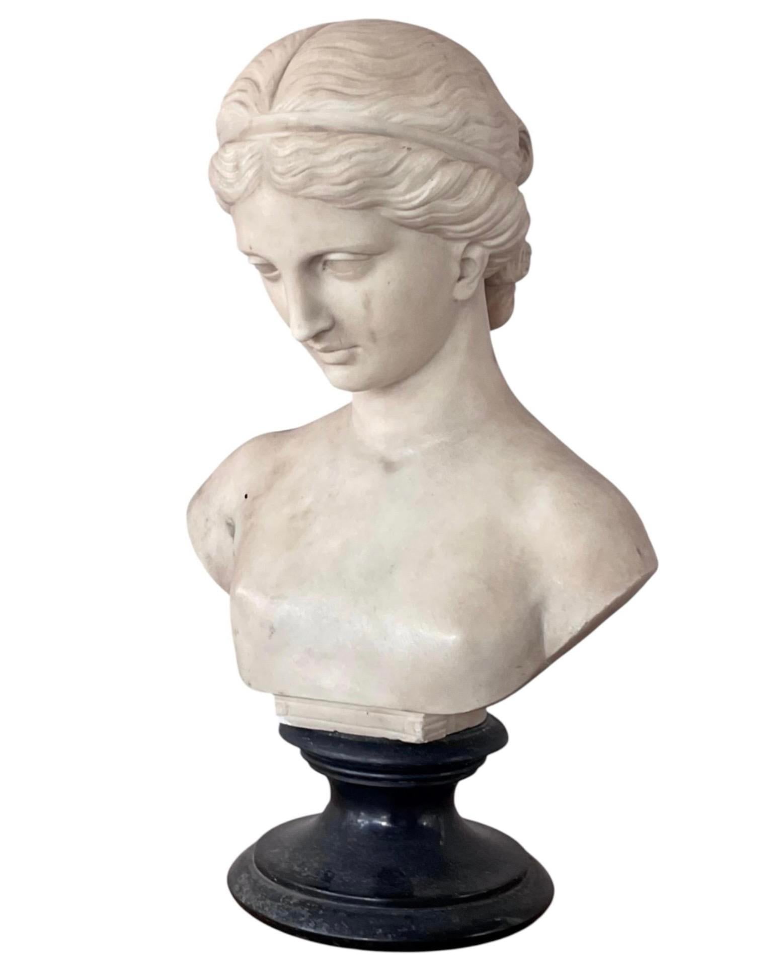 Italian Carved Marble Bust of a Young Woman - 14