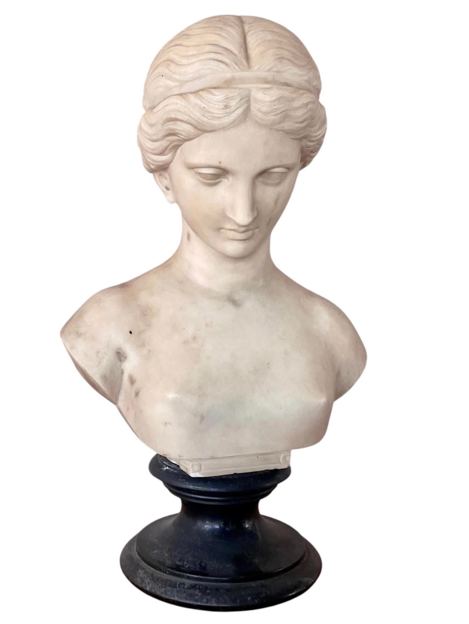 Italian Carved Marble Bust of a Young Woman - 16