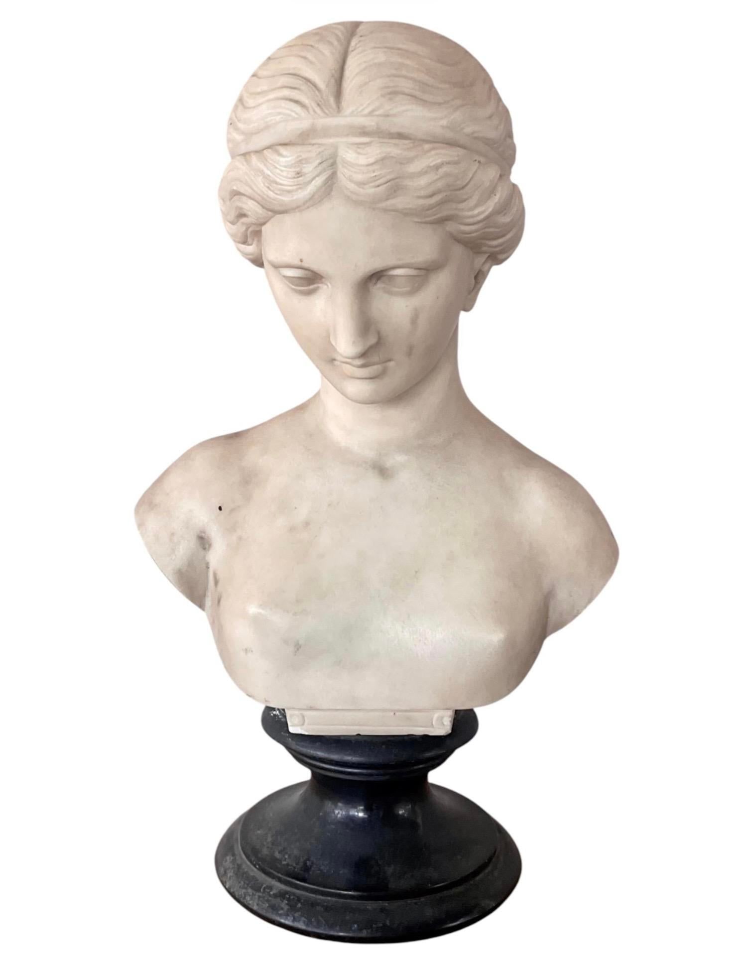 Italian Carved Marble Bust of a Young Woman - 9