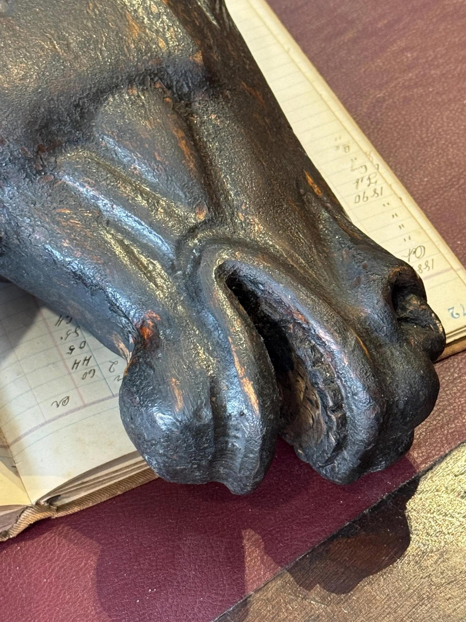 19th Century Wooden Horse Head Trade Sign - 12