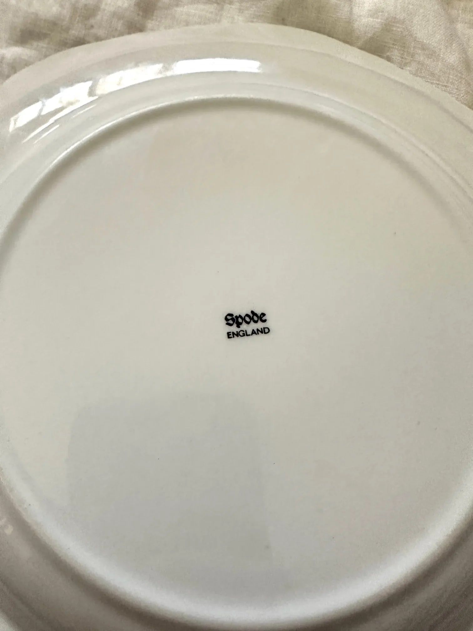 1990s Spode Blue & White Wild Rose/Grapes Luncheon Plates- Set of 6 - 6