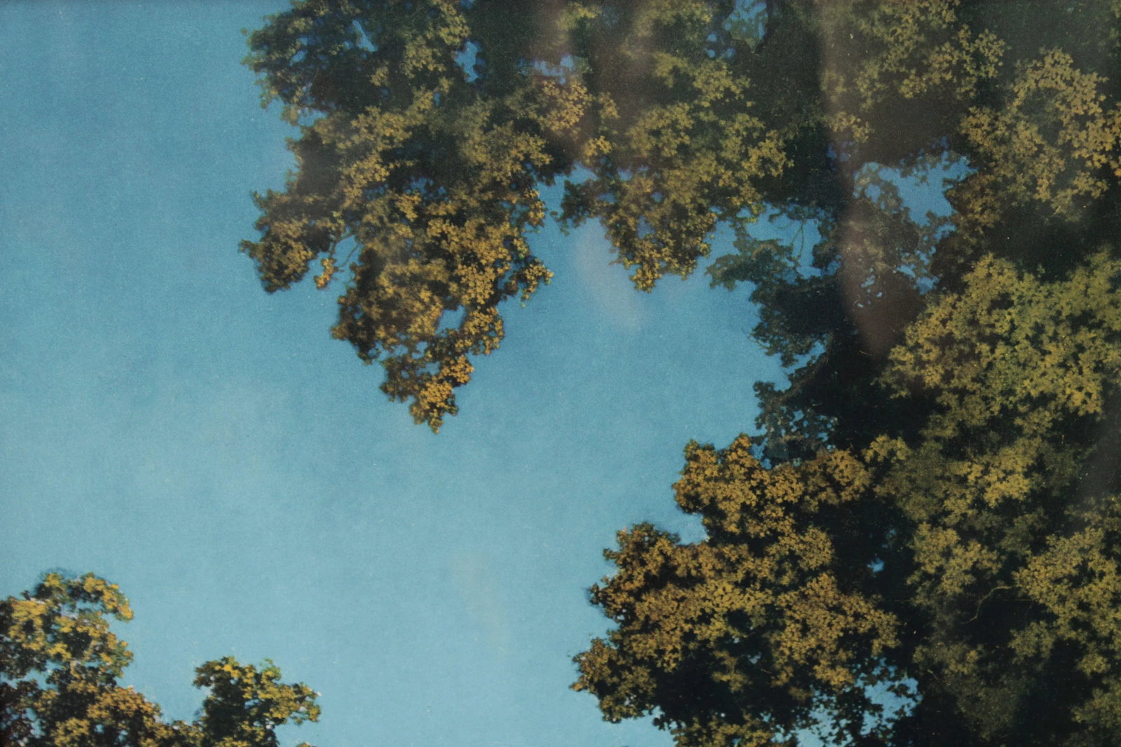 Early 20th Century Maxfield Parrish Arts & Crafts Framed 'The Lute Players' Print - 6