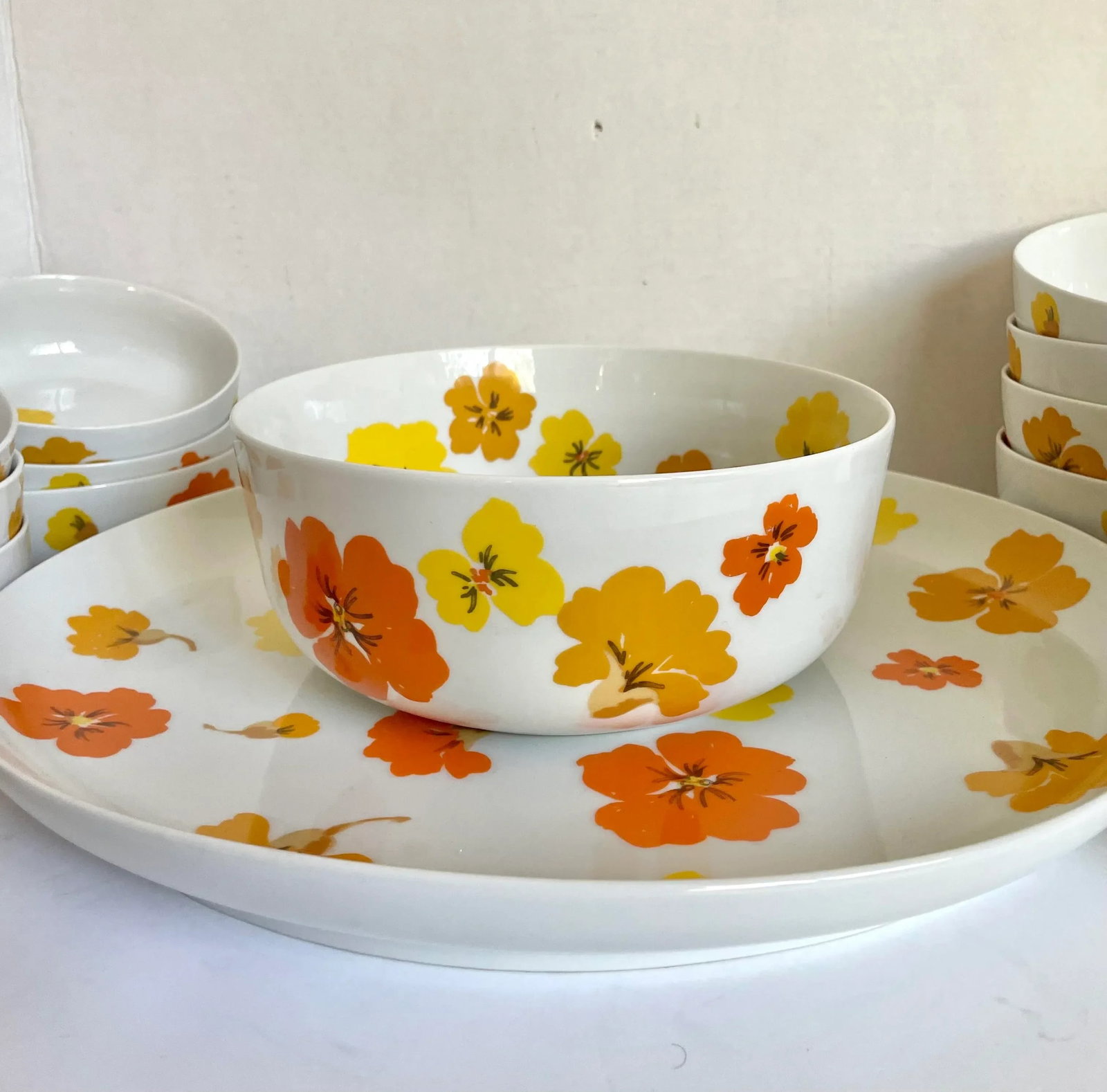 1960's Suisse Switzerland "Lugano" Porcelain Floral Dinnerware Set - 7