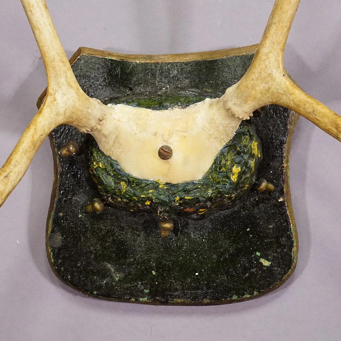 Antique Reindeer Antler Mount Taxidermy Cabin Decor Skull Antlers - 4