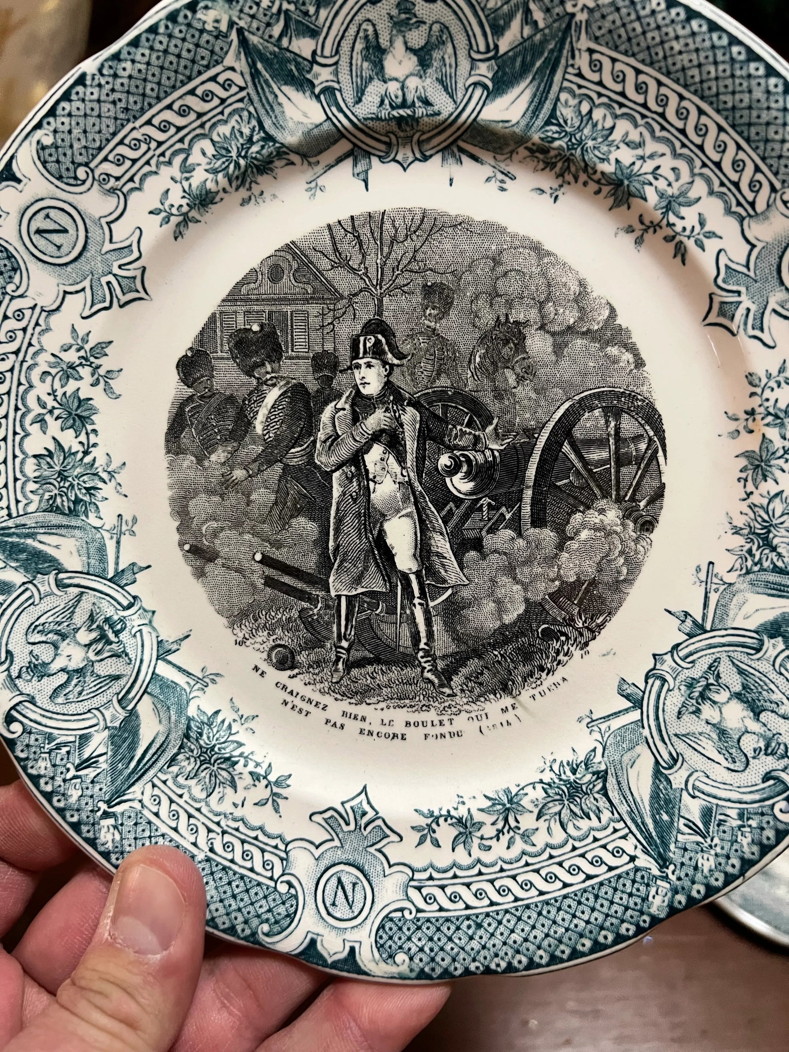 Set of 12 Antique Napoleon French Digoin & Sarreguemnes Plates, Circa 1880's - 10