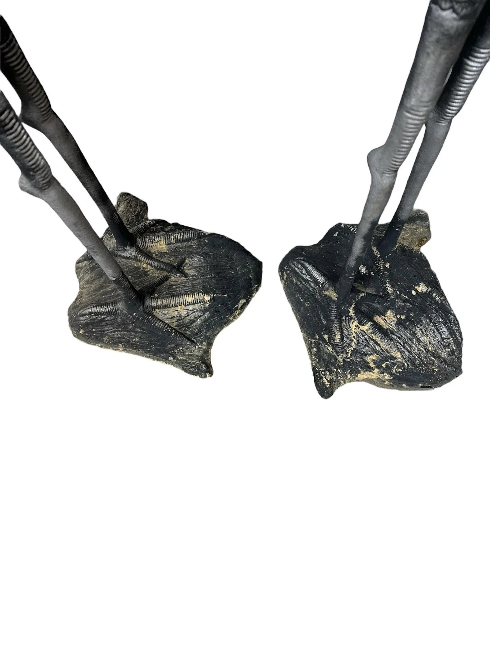Coastal Heron Bird Garden Statue Ornaments - A Pair - 4