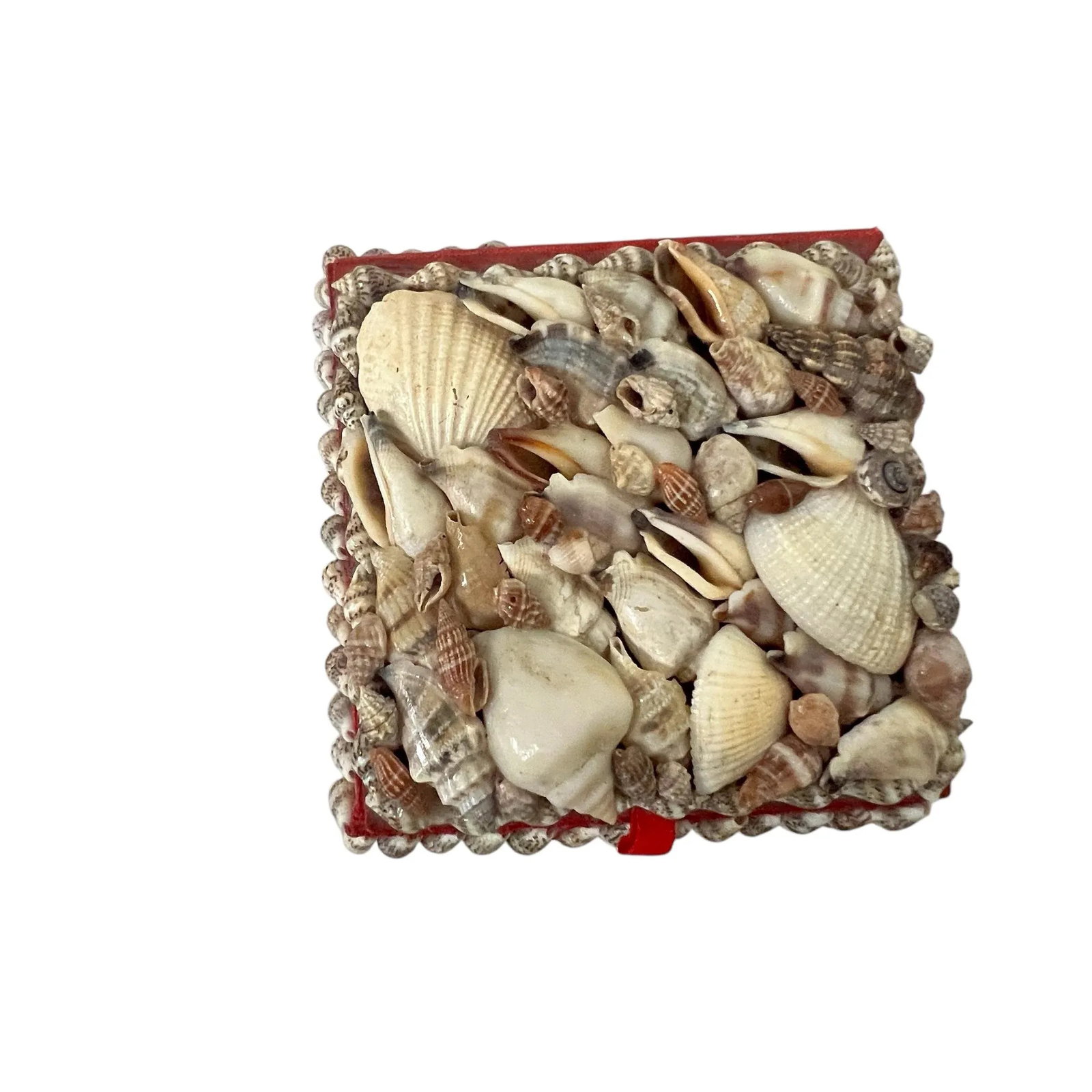 Mid Century Coastal Seashell Trinket Boxes - Set of 3 - 5