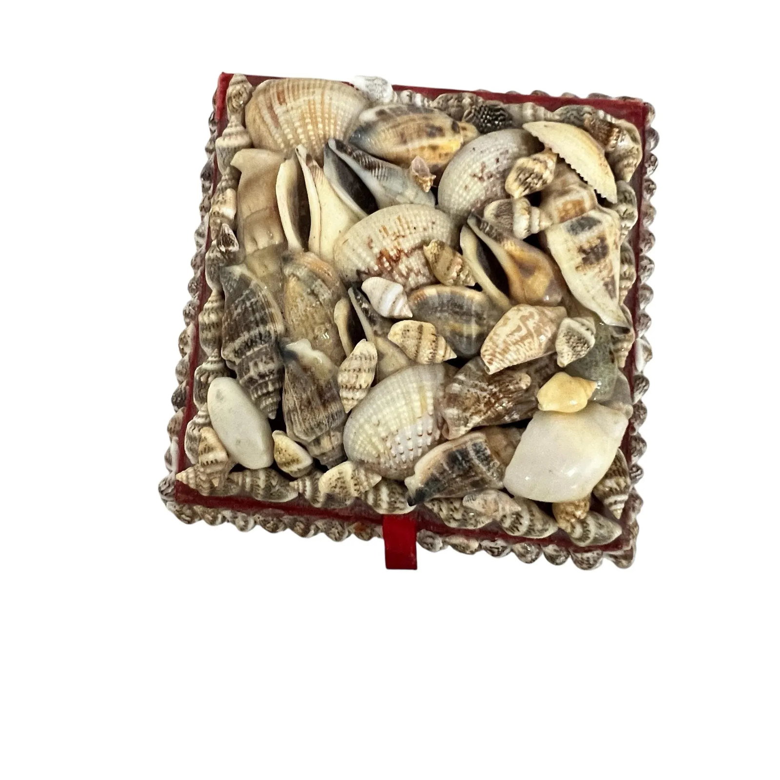 Mid Century Coastal Seashell Trinket Boxes - Set of 3 - 6