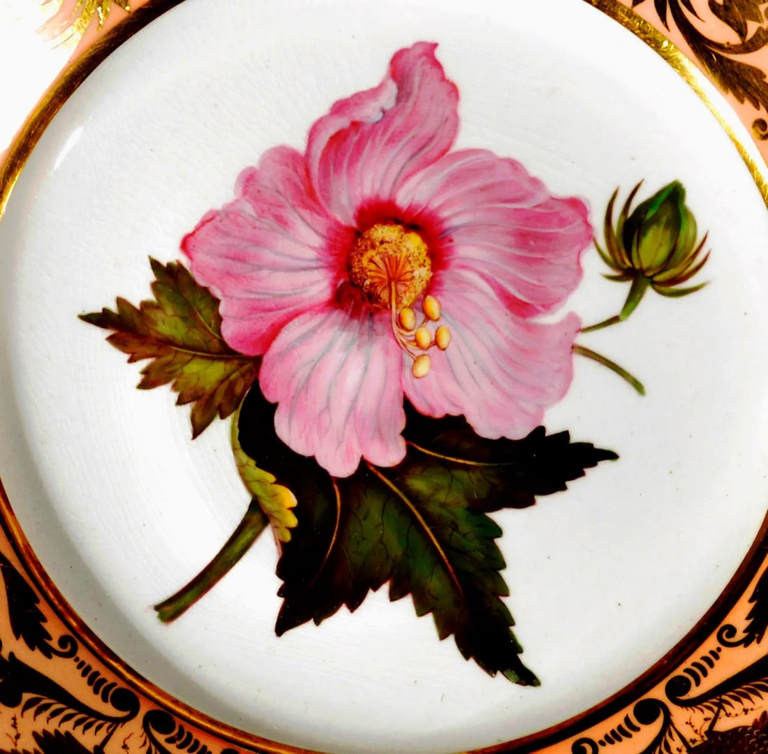 Antique Derby Porcelain Salmon Ground Plate, a Marsh Hibiscus, by John Brewer After William Curtis - 5