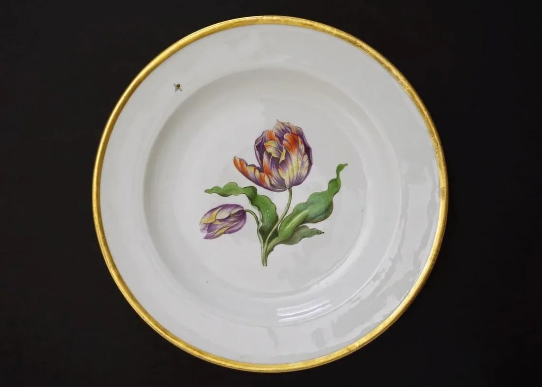 Antique Meissen Botanical Tulip Plate Dish Porcelain Hand Painted - 2