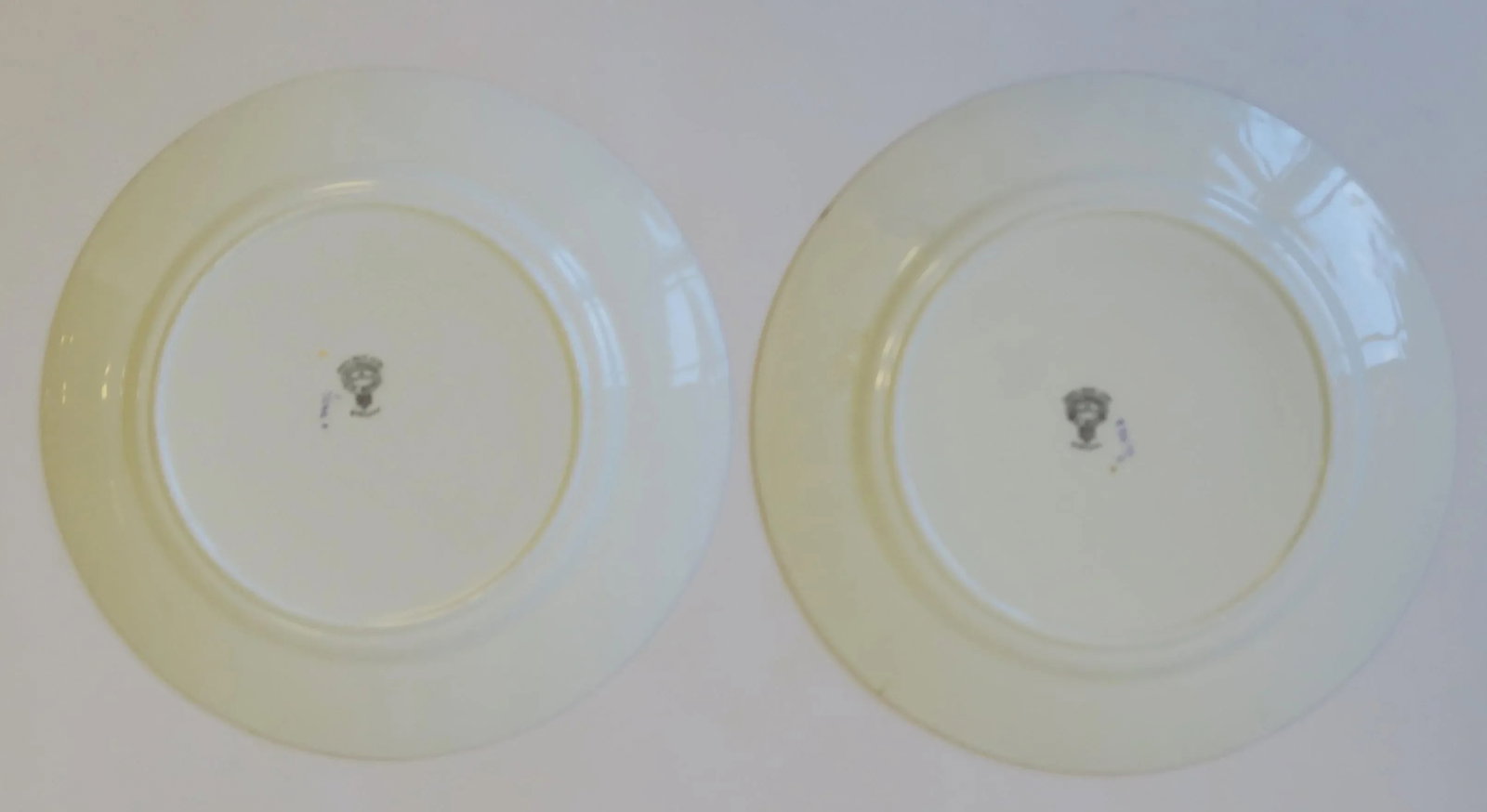 English Adderley Porcelain Plates With Floral Chintz Design - a Pair - 8