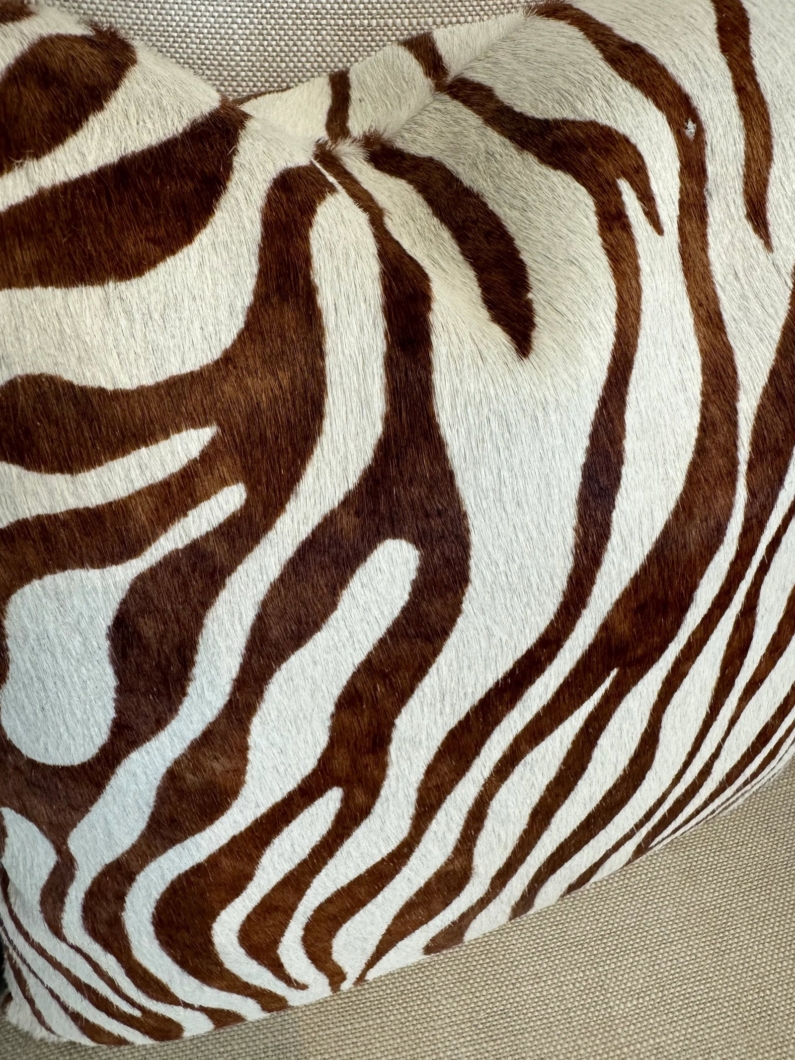 Animal Print Zebra Pillow - 3