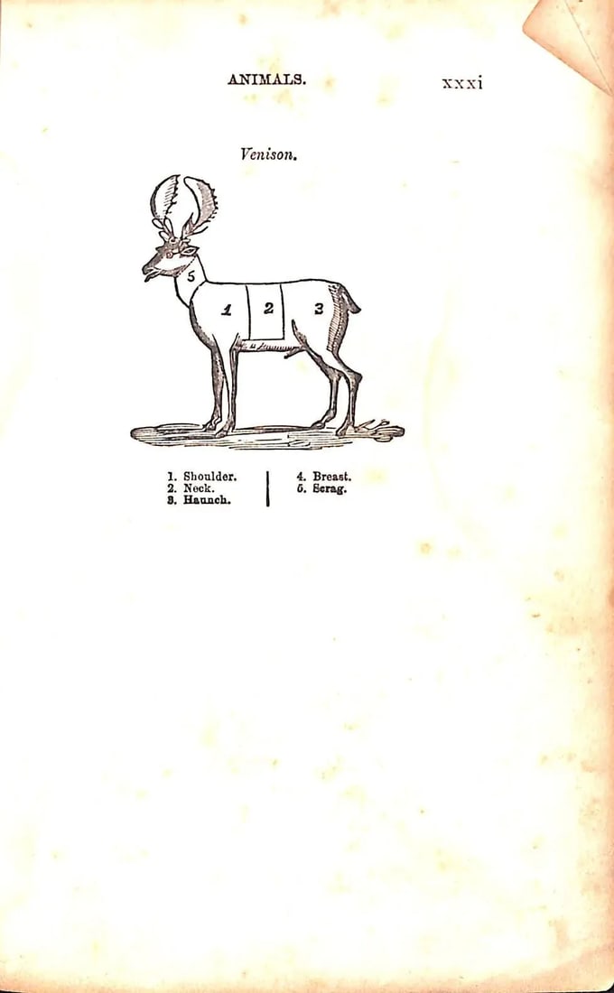 Miss Leslie's New Cookery Book 1837 Miss Leslie - 3