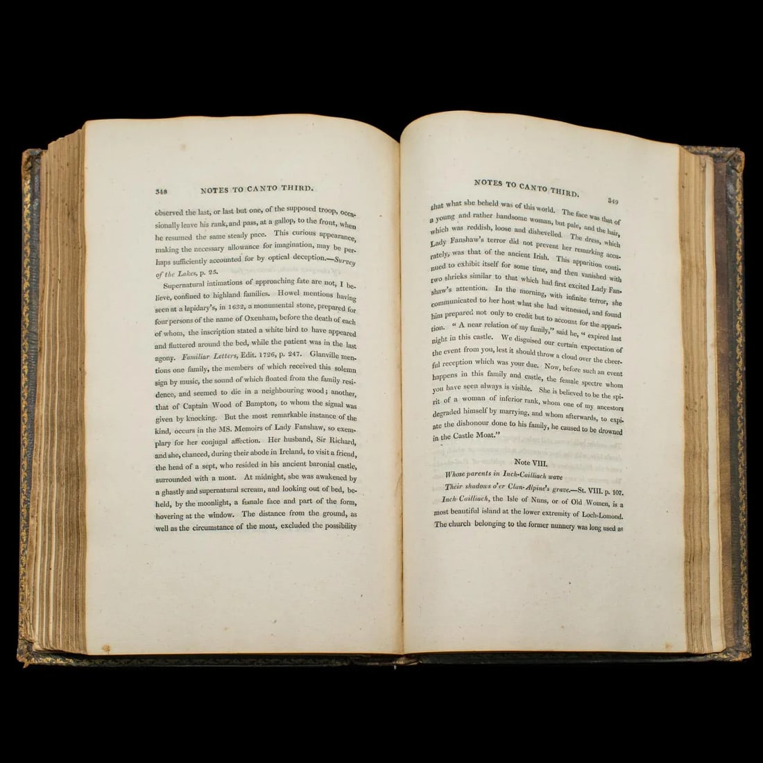 Antique Poetry Book, the Lady of the Lake, Walter Scott, Early Edition, Georgian - 8