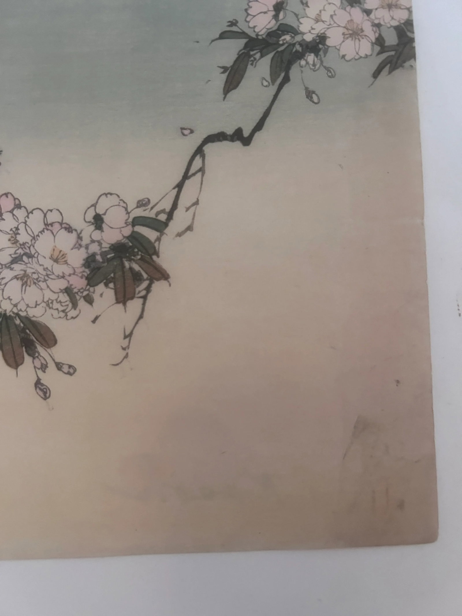 19th Century Antique Japanese Blossoms in Moonlight Ink Woodblock Print by Kason - 7