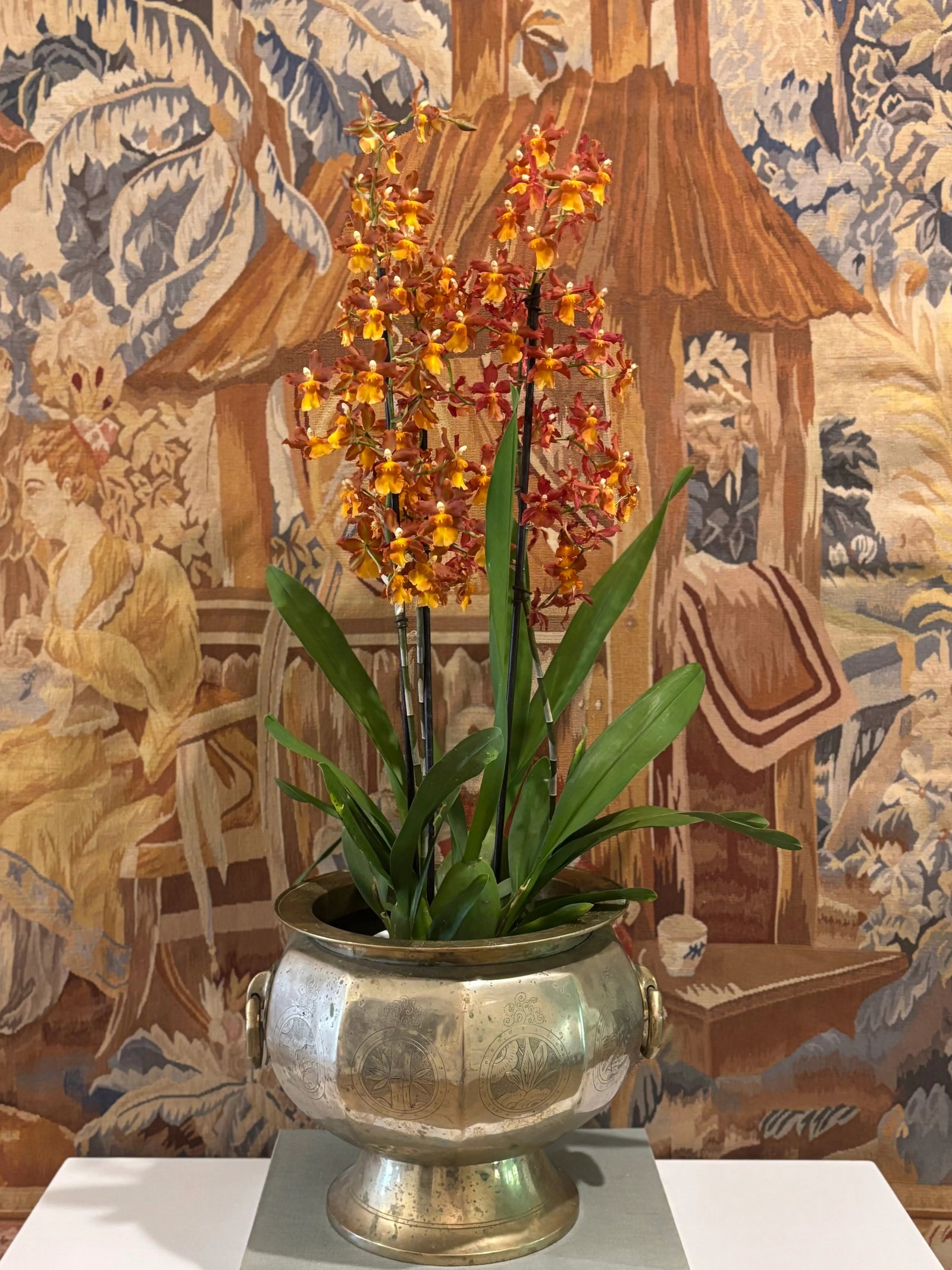 Antique 19th Century Chinese Brass Two-Handled Jardiniere - #2 of 2 Available - 2