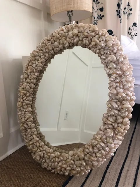 Coastal Oly Studio Oval Shell Mirror - 3