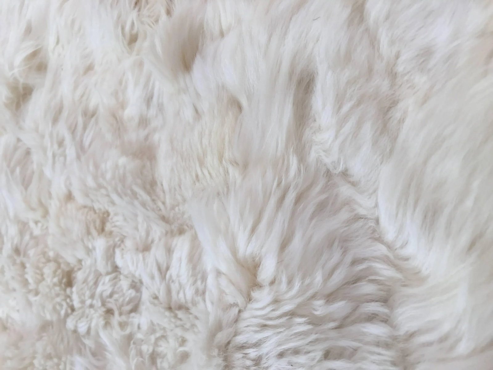Vintage Shaggy Sheepskin Bed Throw or Rug | New Zealand Natural Ivory White 1970 - 4