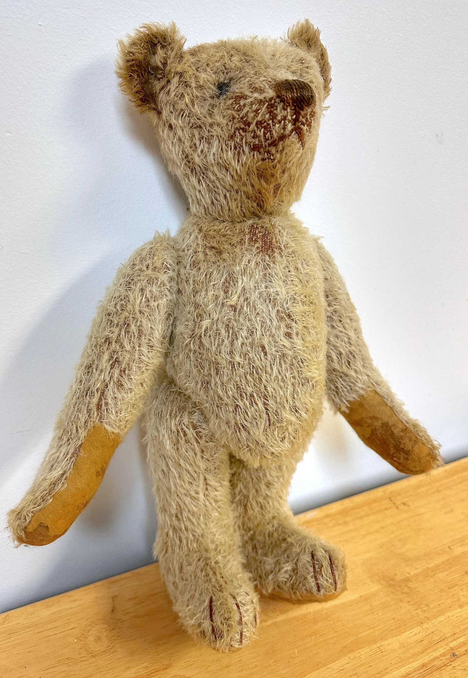 Antique Steiff Long Hair Gold Mohair Teddy Bear ' Alastair' , C. 1900s - 5
