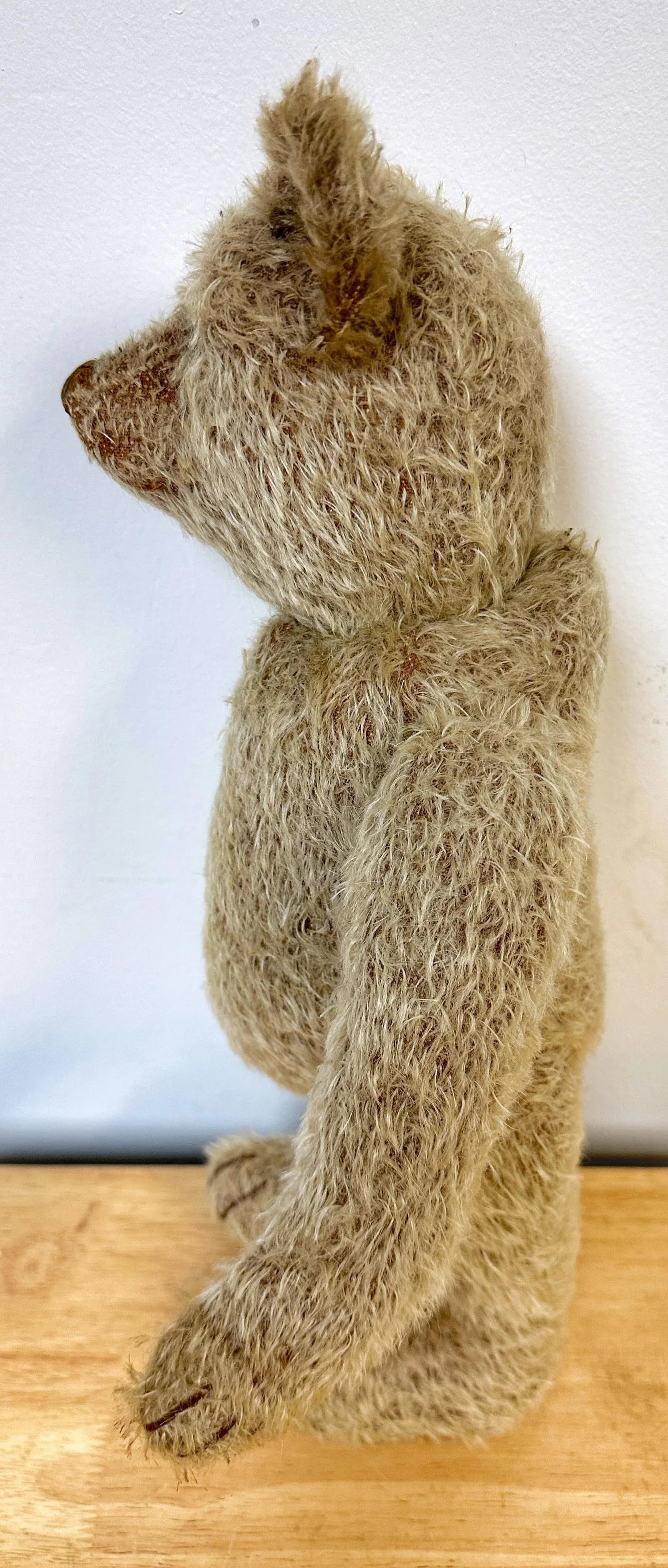Antique Steiff Long Hair Gold Mohair Teddy Bear ' Alastair' , C. 1900s - 6
