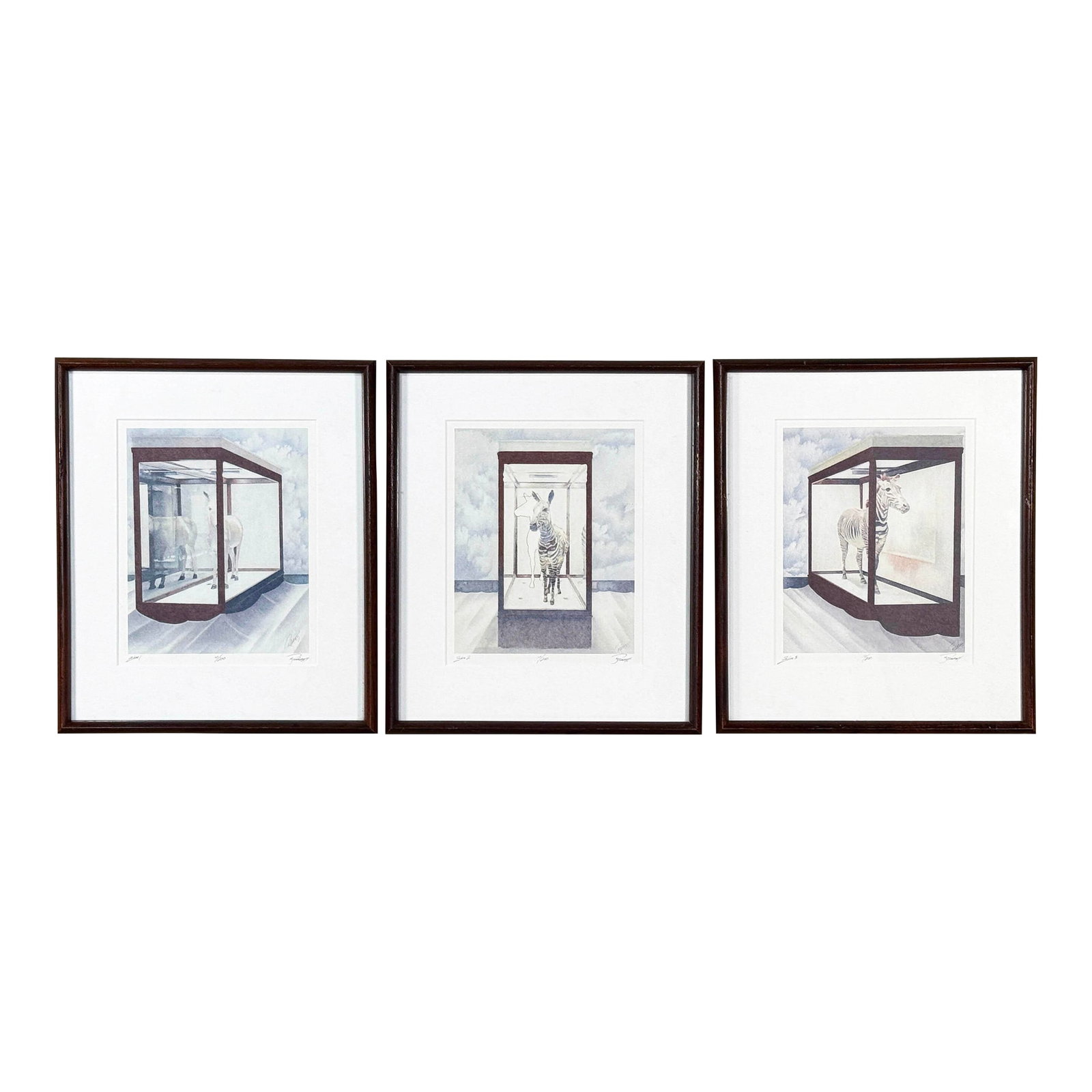 Framed Limited Edition Surrealist Zebra Prints Signed "Rocha '84" - Edition 10/200 - Set of 3: A compelling three piece set of limited edition surrealist prints, each depicting a zebra enclosed within a geometric glass-room structure set against an atmospheric, clouded backdrop. The imagery