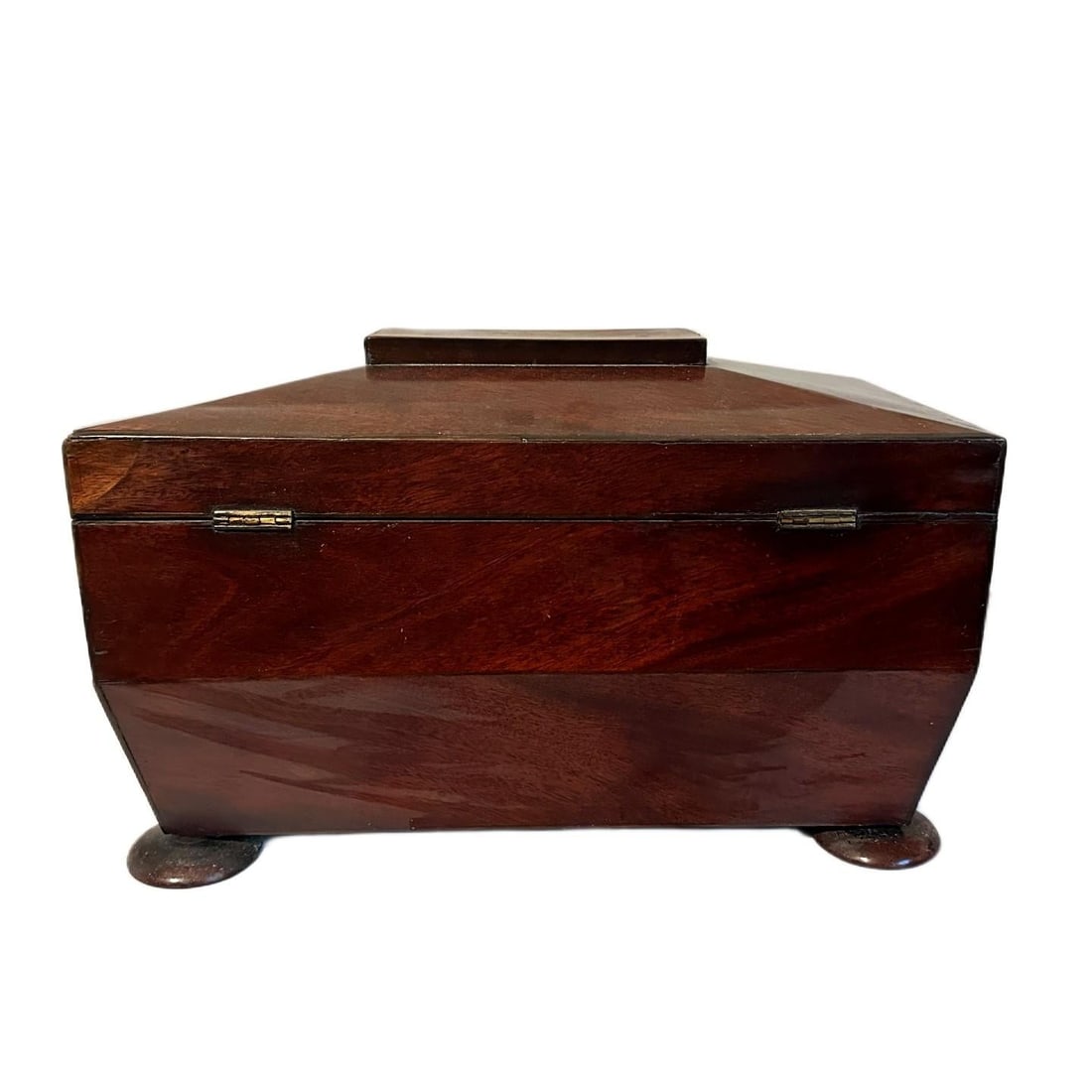 Antique Early 19th Century William IV Regency English Mahogany Tea Sarcophagus Caddy - 4