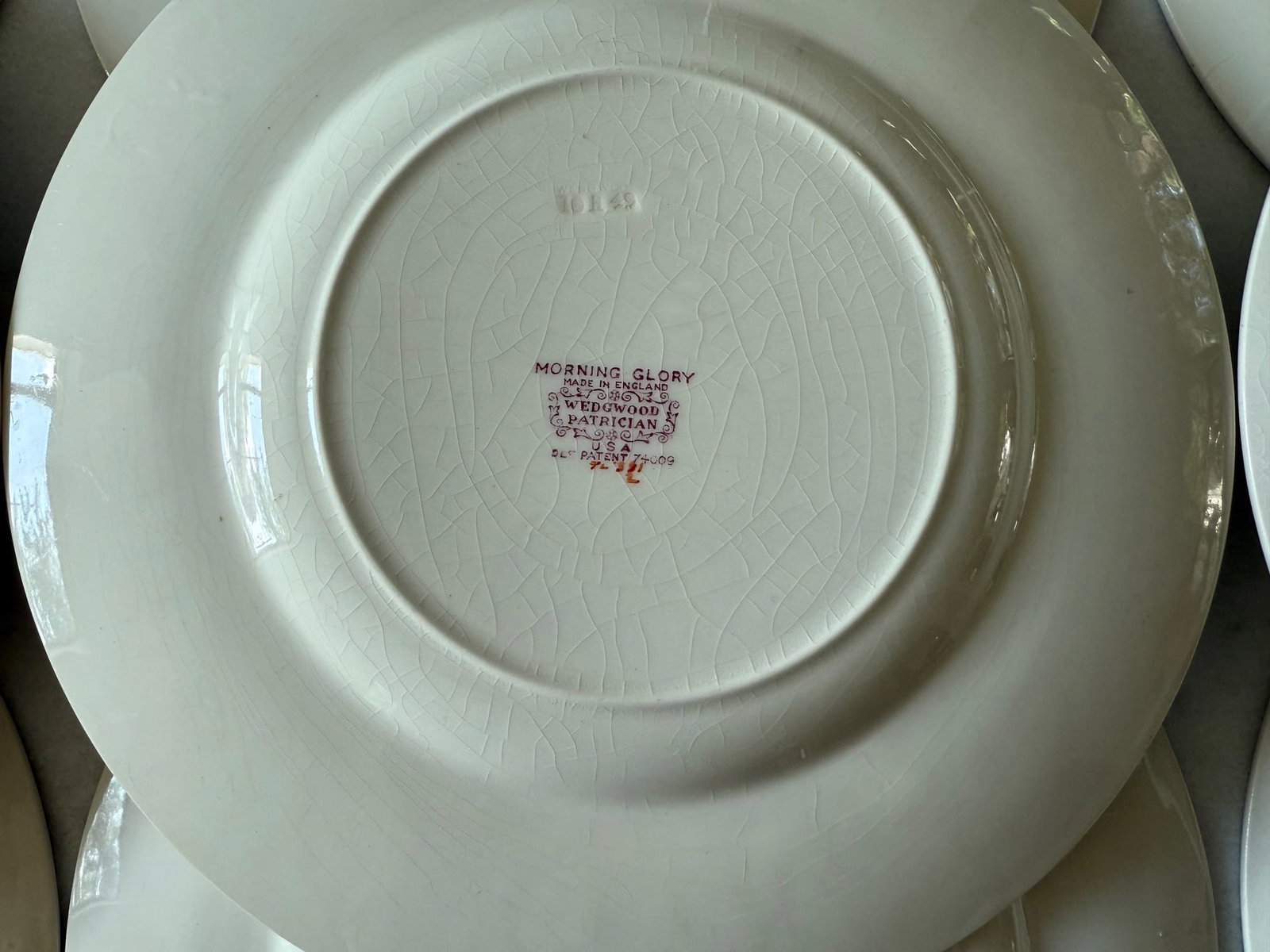 Set of 9 Wedgwood Dinner Plates in the Morning Glory Pattern - 10