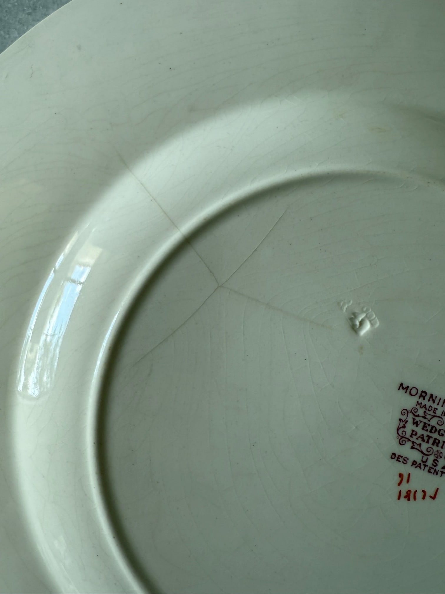Set of 9 Wedgwood Dinner Plates in the Morning Glory Pattern - 12