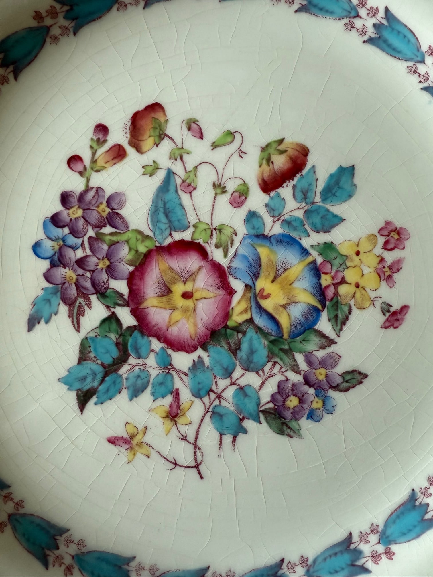 Set of 9 Wedgwood Dinner Plates in the Morning Glory Pattern - 7