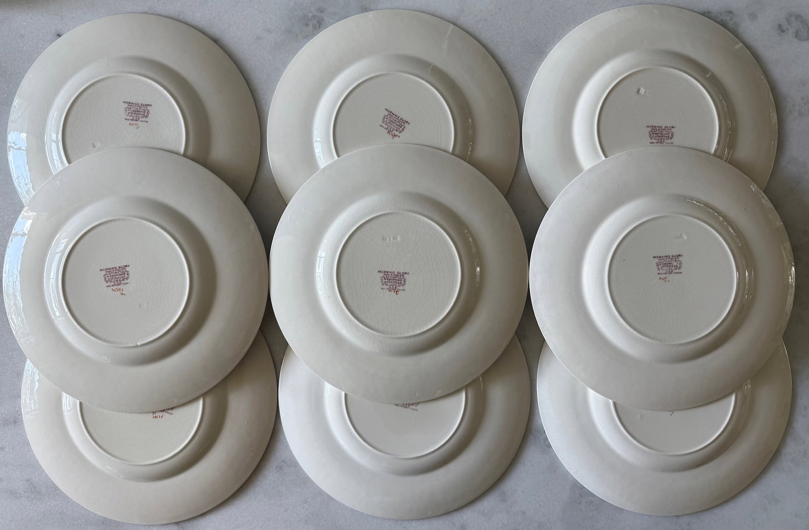 Set of 9 Wedgwood Dinner Plates in the Morning Glory Pattern - 9