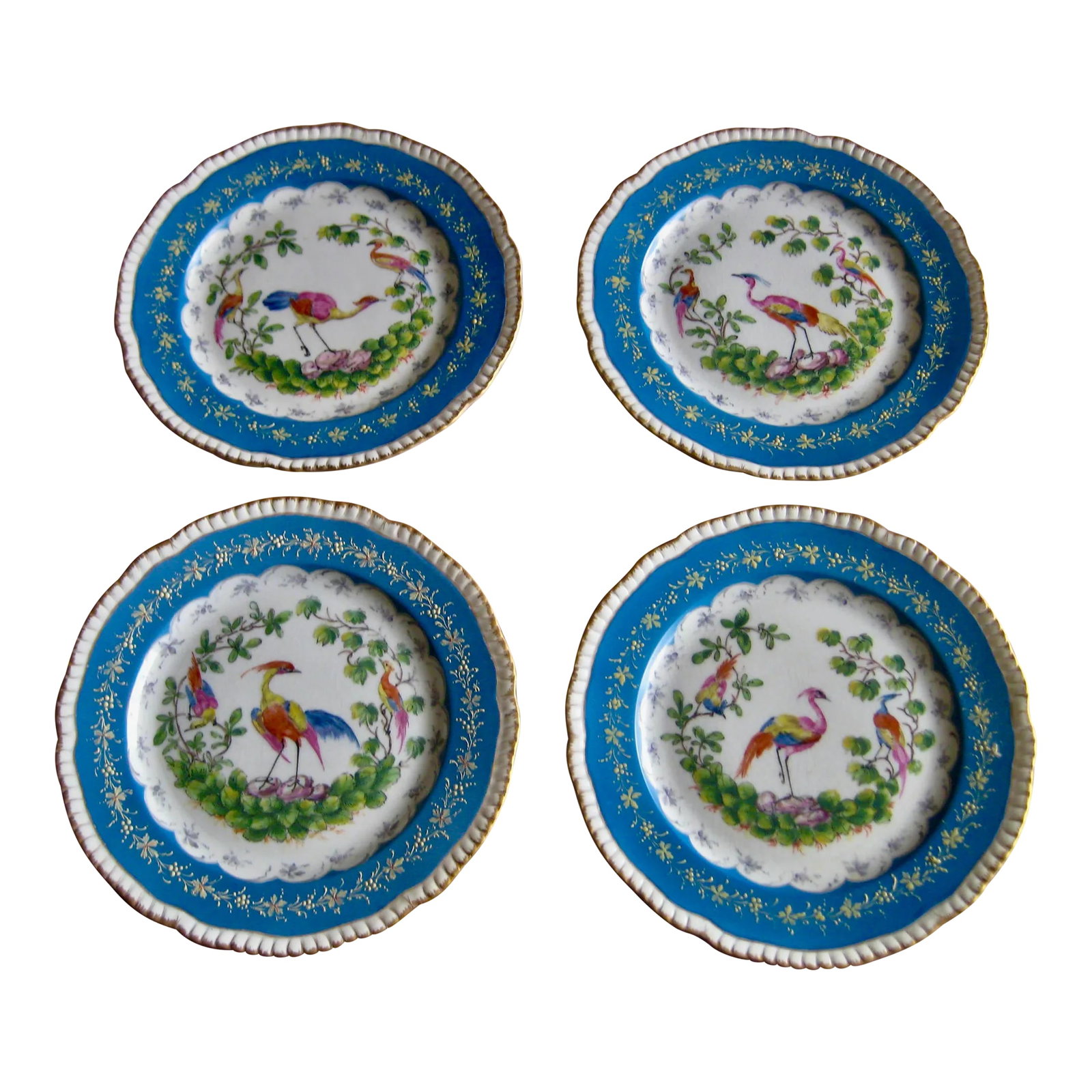 Dresden Bird Porcelain Plates- Set of 4: This is a Dresden set off four pieces with a beautiful decor off exotic birds in the manner of the XVIII century . All hand painted and very elegant you will find bright colors , sophisticated decors