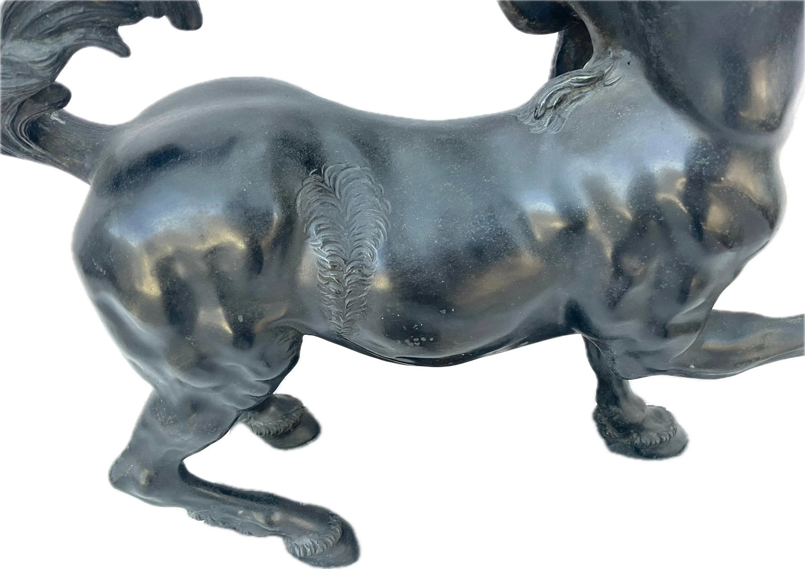 Large Bronze Grand Tour Centaur Signed Fernando De Luca - 11
