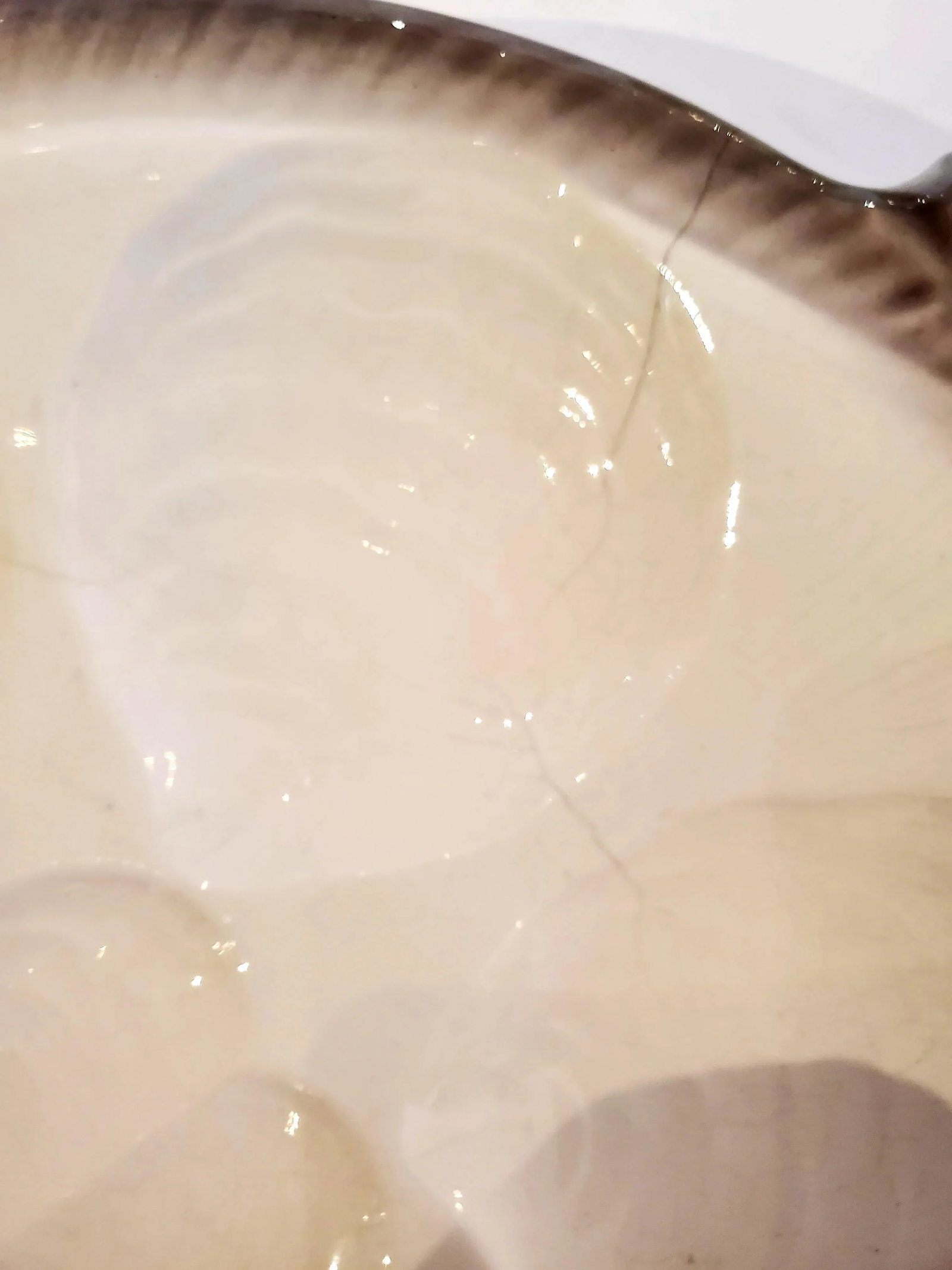 Vintage Oyster Plates -Set of 7 - 5
