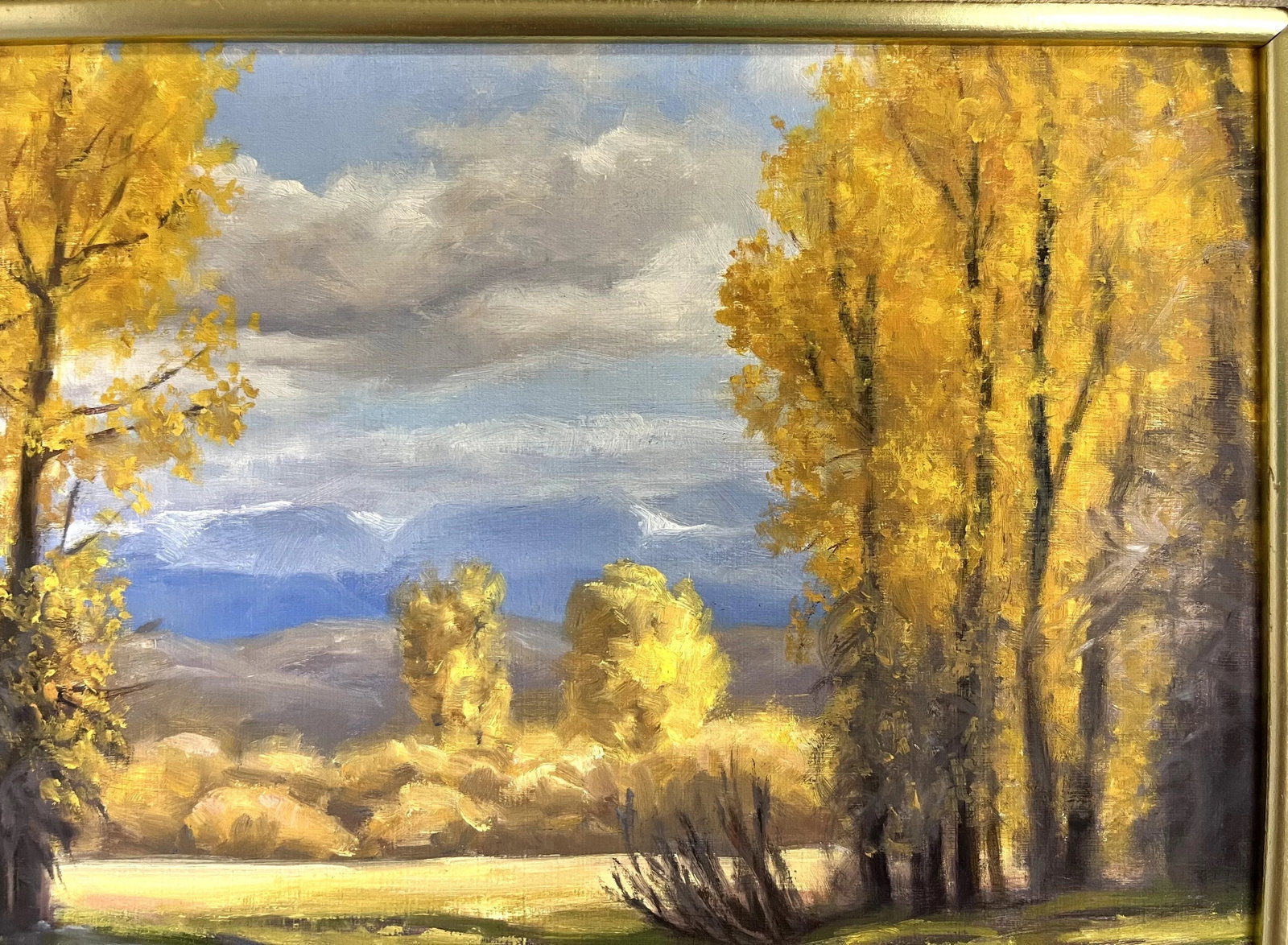 Ruth Rawhouser (Wyoming, Present) Signed Original Oil Painting on Board "September Cottonwoods" Circ - 6