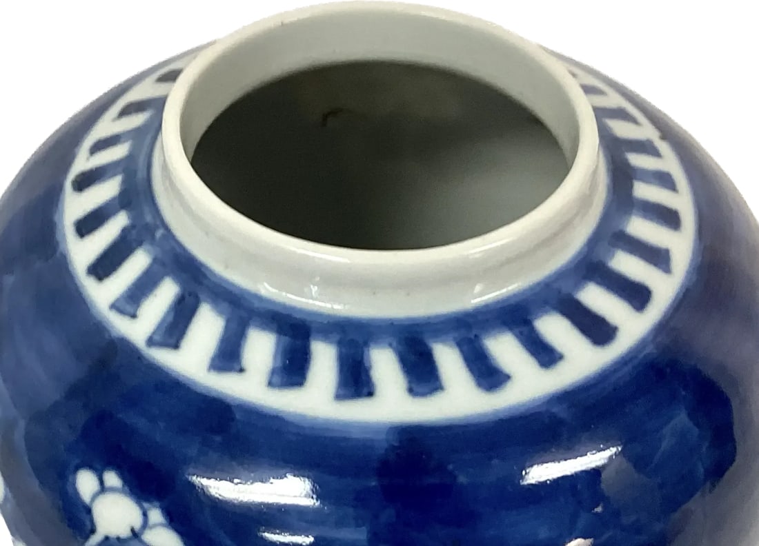 Late 19th Century Chinese Blue and White Porcelain Ginger Jar Vase - 5