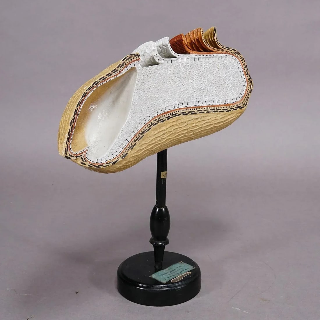 19th Century Botanic Model by Robert Brendel - Grain Grate - 3