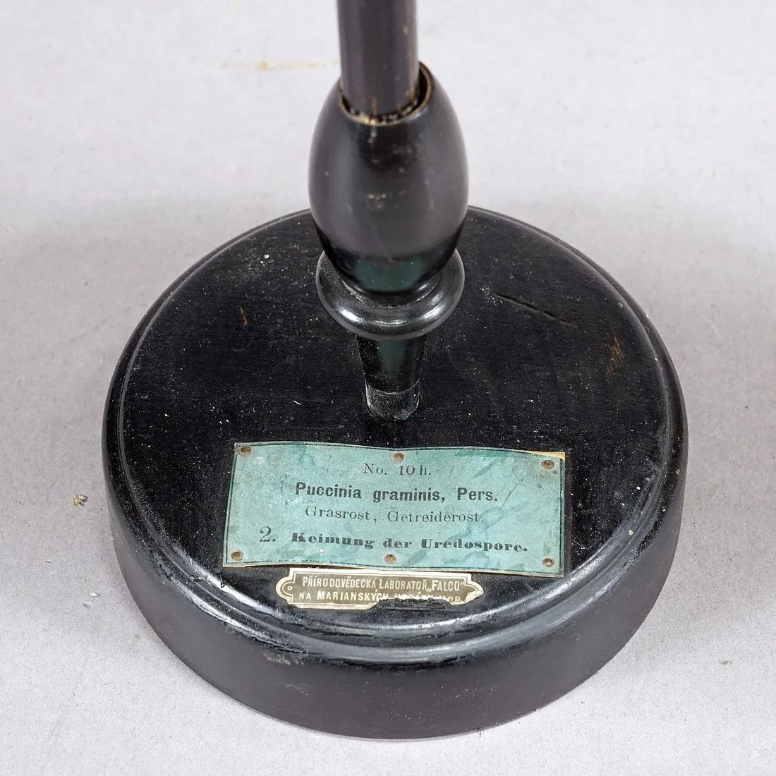 19th Century Botanic Model by Robert Brendel - Grain Grate - 7