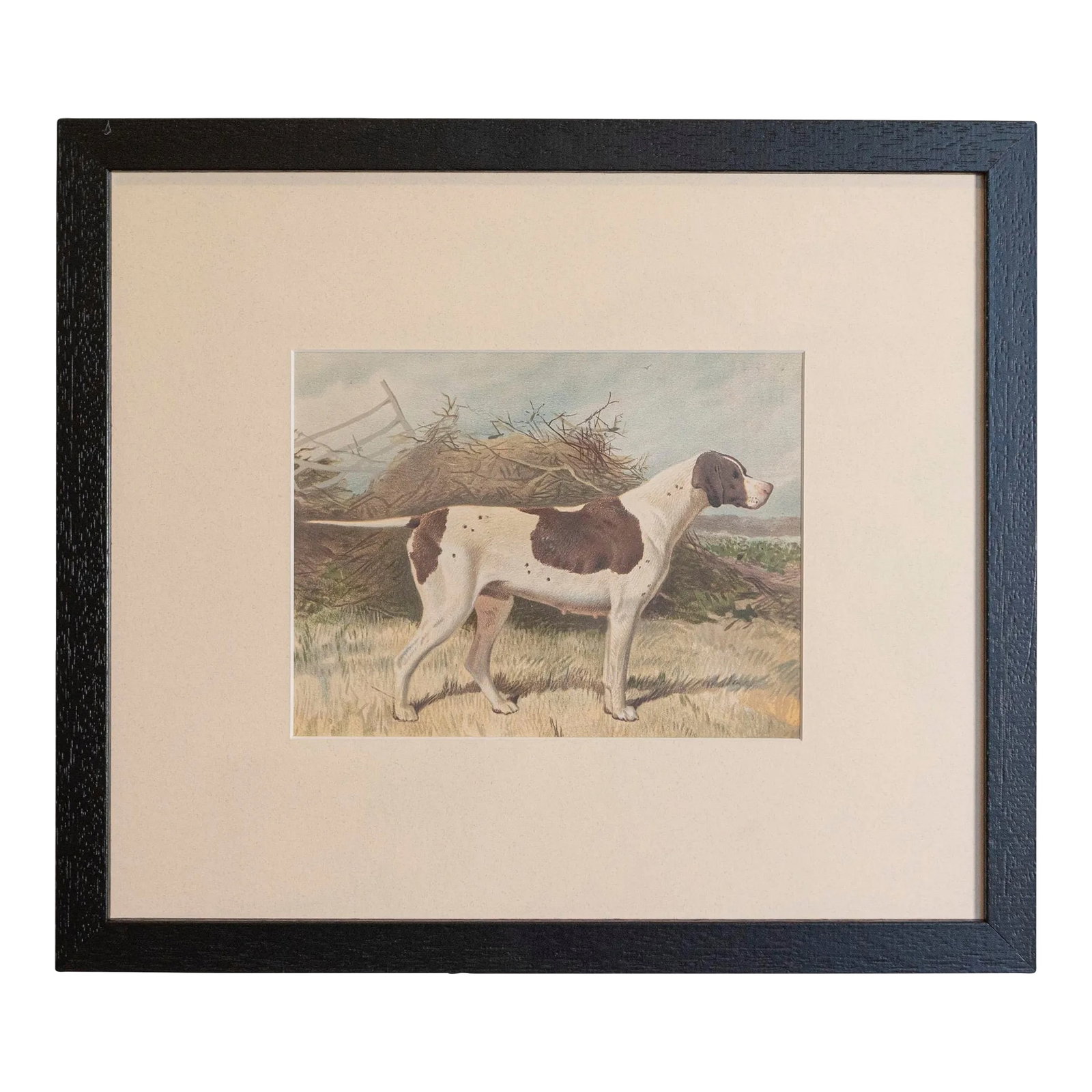 Mid 20th Century Cassell, Petter, Galpin & Co Chromolithograph Dog Print in Black Frame: Single Print - This is for the exact brown & white Hunting Dog print in the main photo. (18 available see other photos and listings) - Cassell, Petter, Galpin & Co. chromolithograph dog prints from