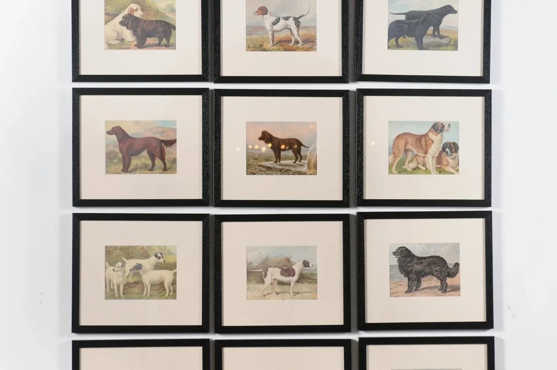 Single Print - Cassell, Petter, Galpin & Co Chromolithograph Dog Print in Black Frame - 12