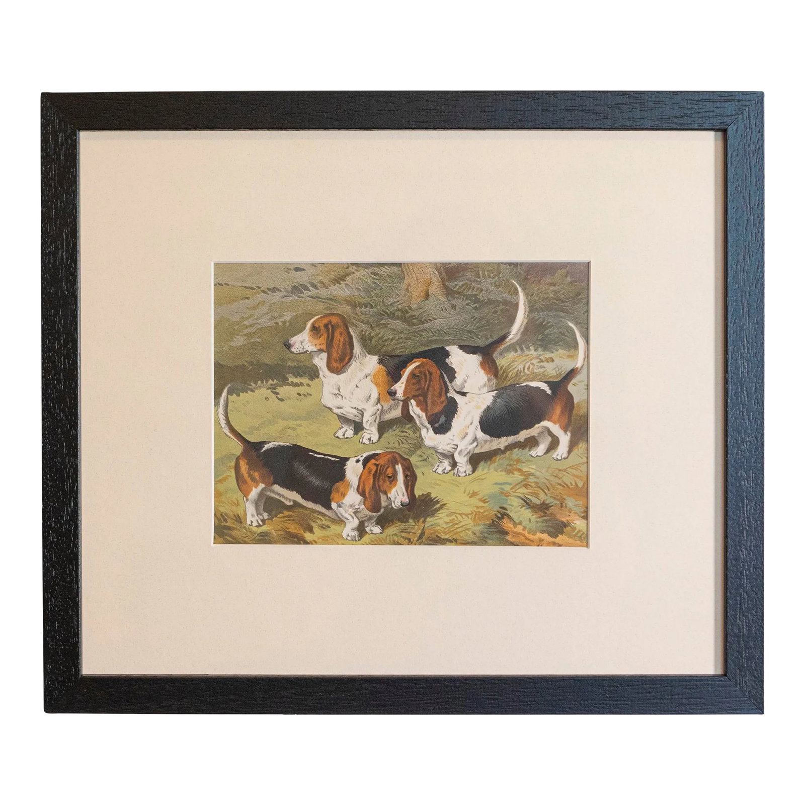 Single Print - Cassell, Petter, Galpin & Co Chromolithograph Dog Print in Black Frame: Single Print - This is for the exact Basset Hound style hunting dog print in the main photo. (18 available see other photos and listings) - Cassell, Petter, Galpin & Co. chromolithograph dog prints