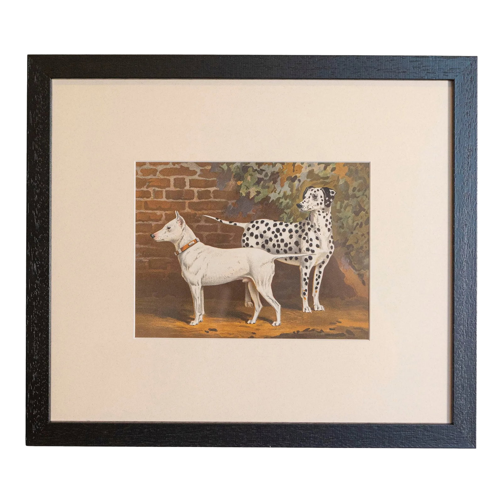 Single Print - Cassell, Petter, Galpin & Co Chromolithograph Dog Print in Black Frame: 18 framed Cassell, Petter, Galpin & Co chromolithograph dog prints from the 20th century, priced and sold $495 each. Created in England, the plates were made for The Illustrated Book of the Dog by