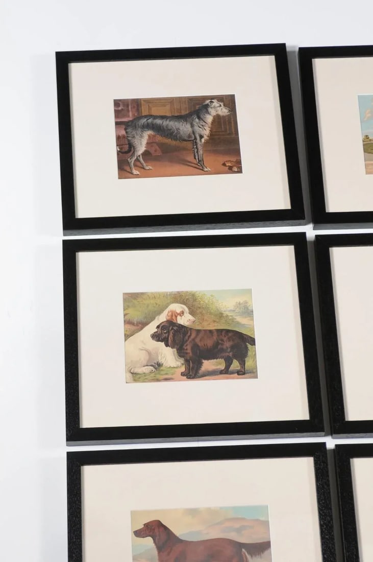 Single Print - Cassell, Petter, Galpin & Co Chromolithograph Dog Print in Black Frame - 5